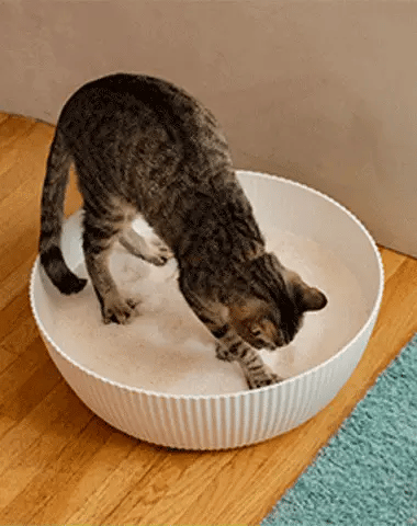 Advanced Odor Control