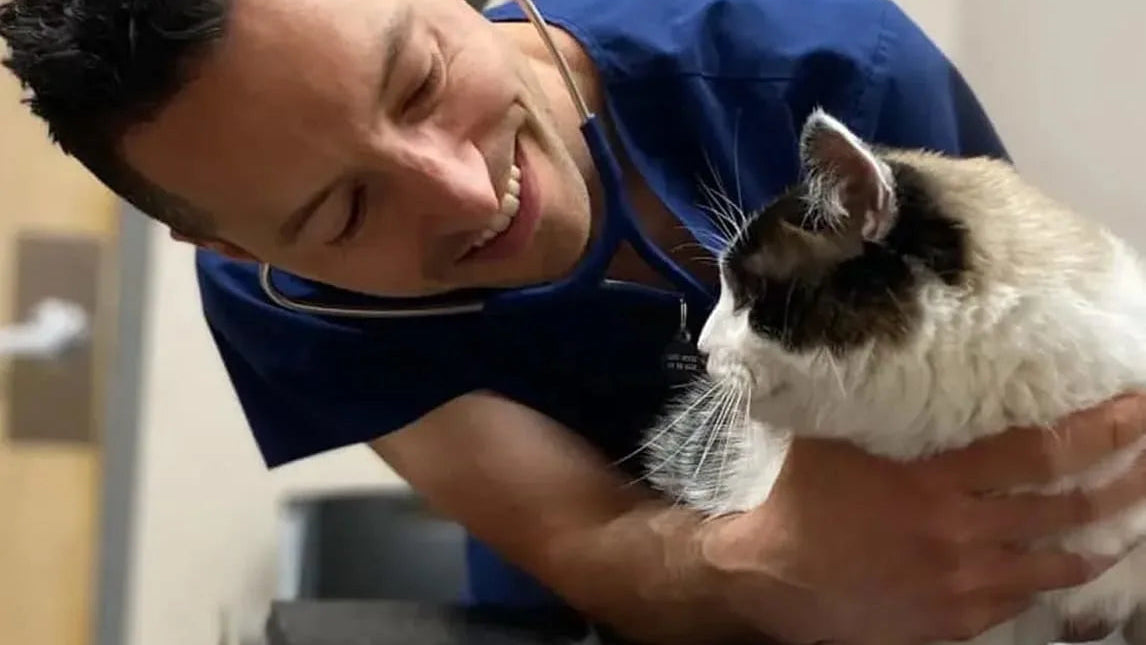 Dr. DeWire, Veterinarian